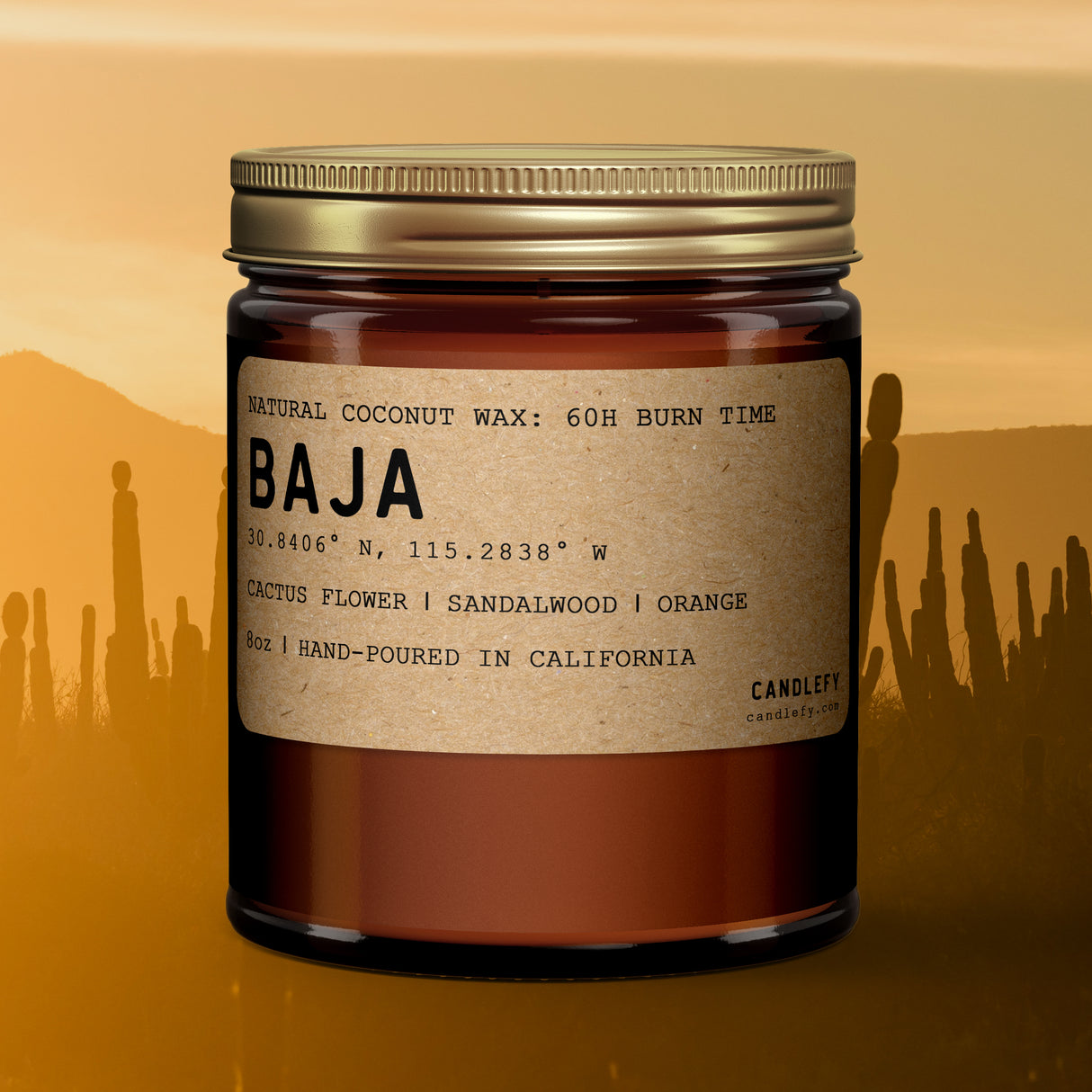 Baja: California Scented Candle (Cactus Flower, Sandalwood)