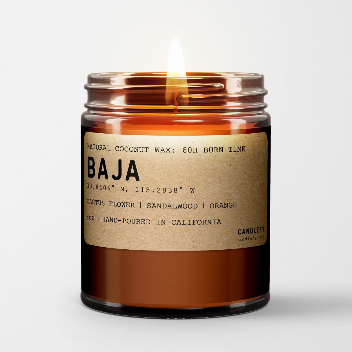Baja: California Scented Candle (Cactus Flower, Sandalwood)