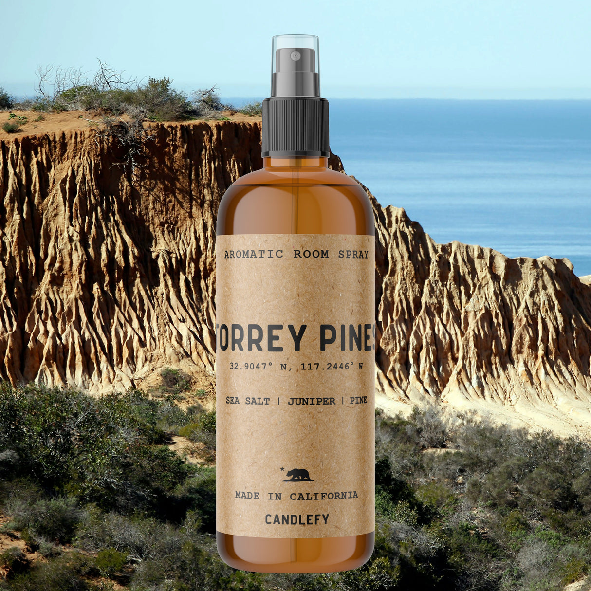Torrey Pines Room Spray | 4oz Amber Bottle with 700+ Pumps | Long-Lasting Home Fragrance Mist (Copy)