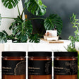 Botanical Spa Scented Candle Gift Box (3 candles / 180H Burn Time) - Candlefy