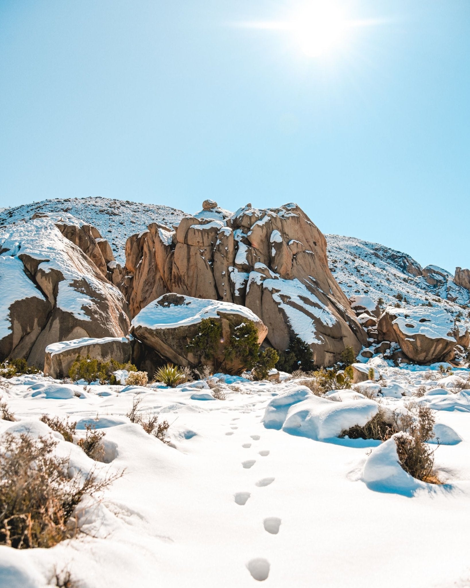 Visit Joshua Tree this Winter - Candlefy