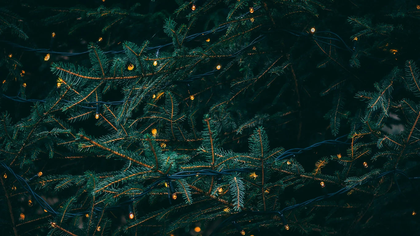 Christmas Gift Bundles