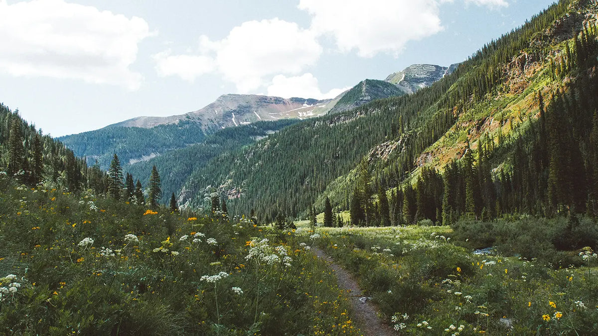 Colorado Candles