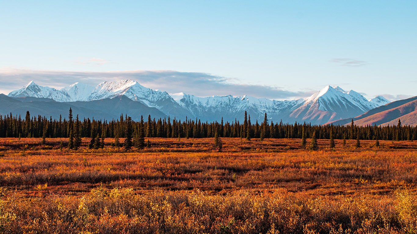 National Park Candles - Candlefy