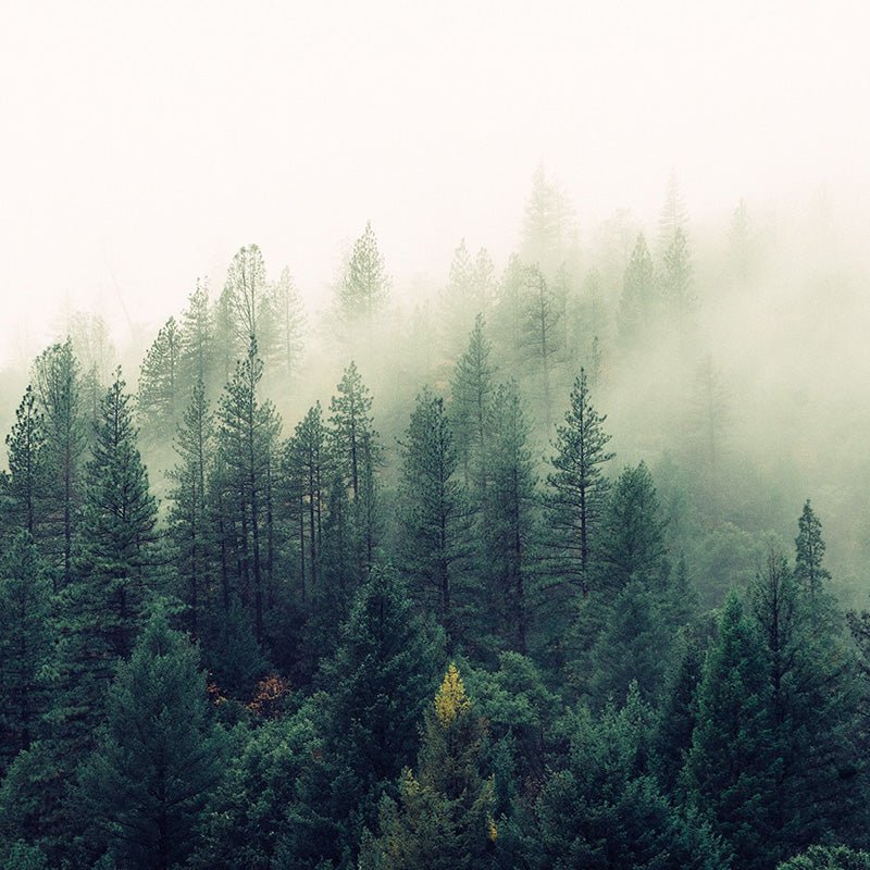 Wood + Spa - Candlefy