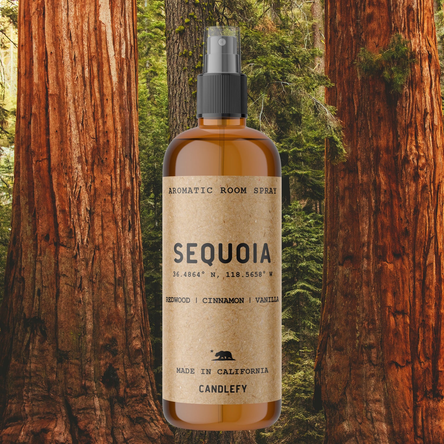 Sequoia Room Spray | 4oz Amber Bottle with 700+ Pumps | Long-Lasting Home Fragrance Mist