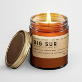 Big Sur: California Scented Candle (Rain, Mossy Wood, Lavender, Rose) - Candlefy