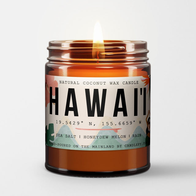 Hawaii Scented Candle (Sea Salt, Honeydew Melon, Rain) - Candlefy