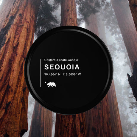 Sequoia Redwood California Scented Travel Tin Candle - Candlefy